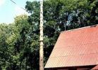 Сухое дерево, нависающее над кровлей дома Сухое дерево, нависающее над кровлей дома