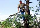 Делаем завис и обрезаем первую ветку